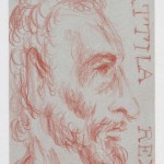 attylla Attylla